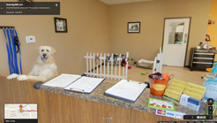 Google Maps Grooming With Love